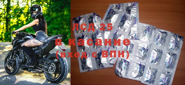 прущие грибы Баксан