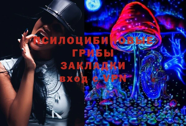 прущие грибы Баксан